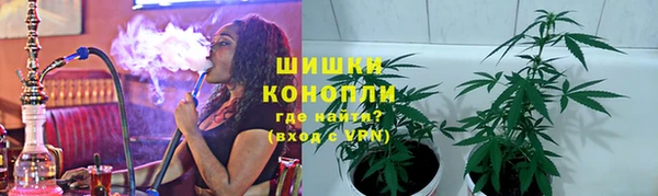 индика Белокуриха