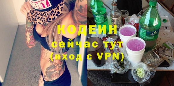 индика Белокуриха