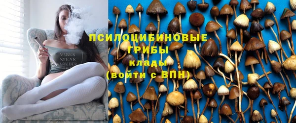 дмт Богданович