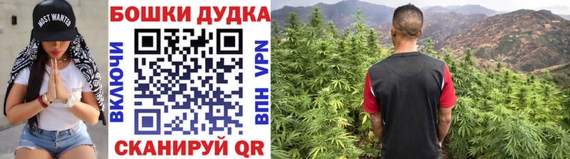 МАРИХУАНА OG Kush  Железногорск-Илимский 